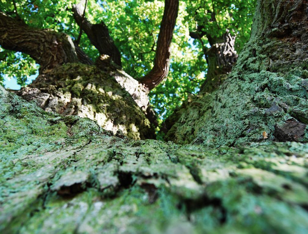 Sonneneck - Im Naturpark Breuna