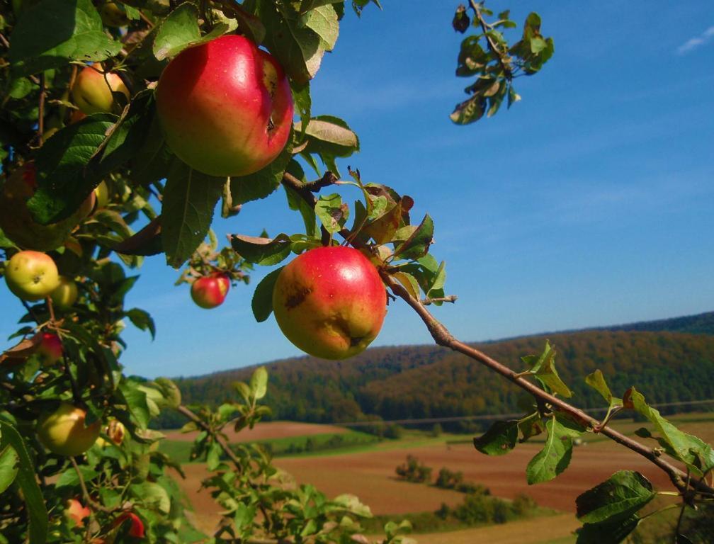 Sonneneck - Im Naturpark Hotel Breuna
