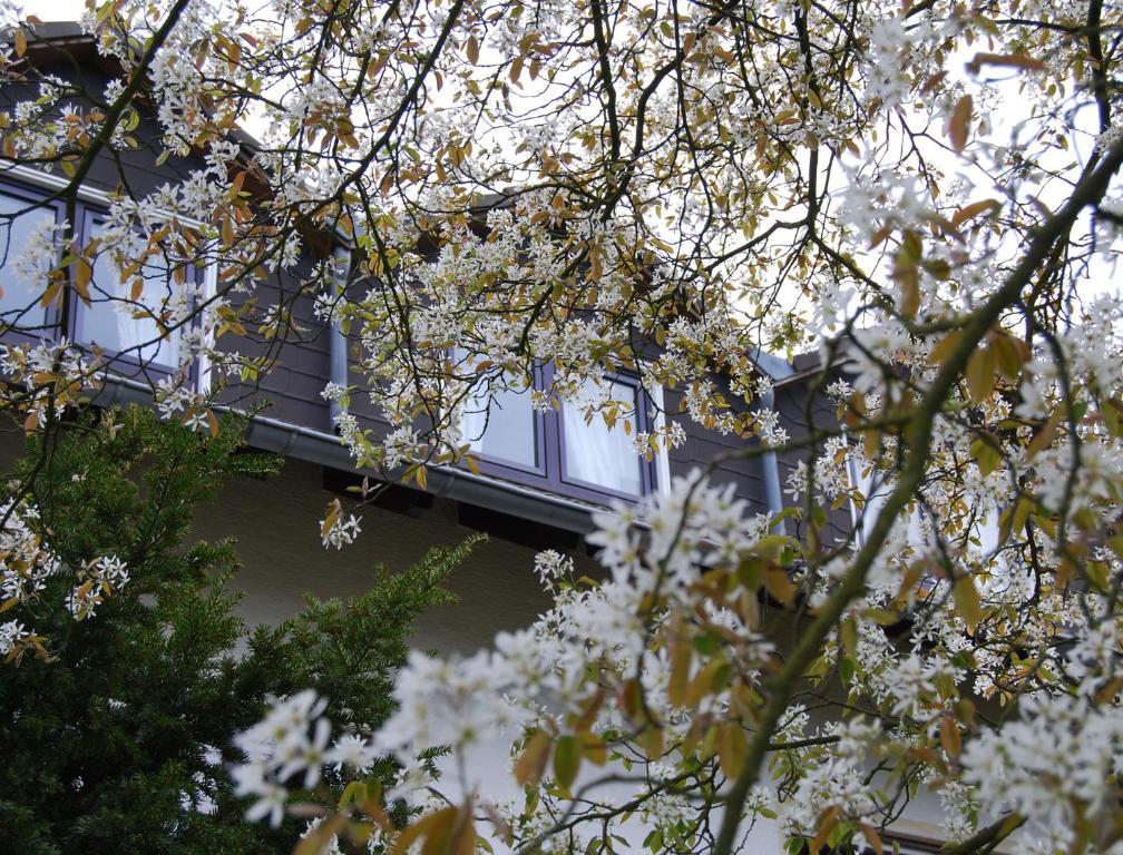 Hotel Sonneneck - Im Naturpark Breuna